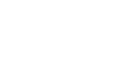Platinumba logo white transparent